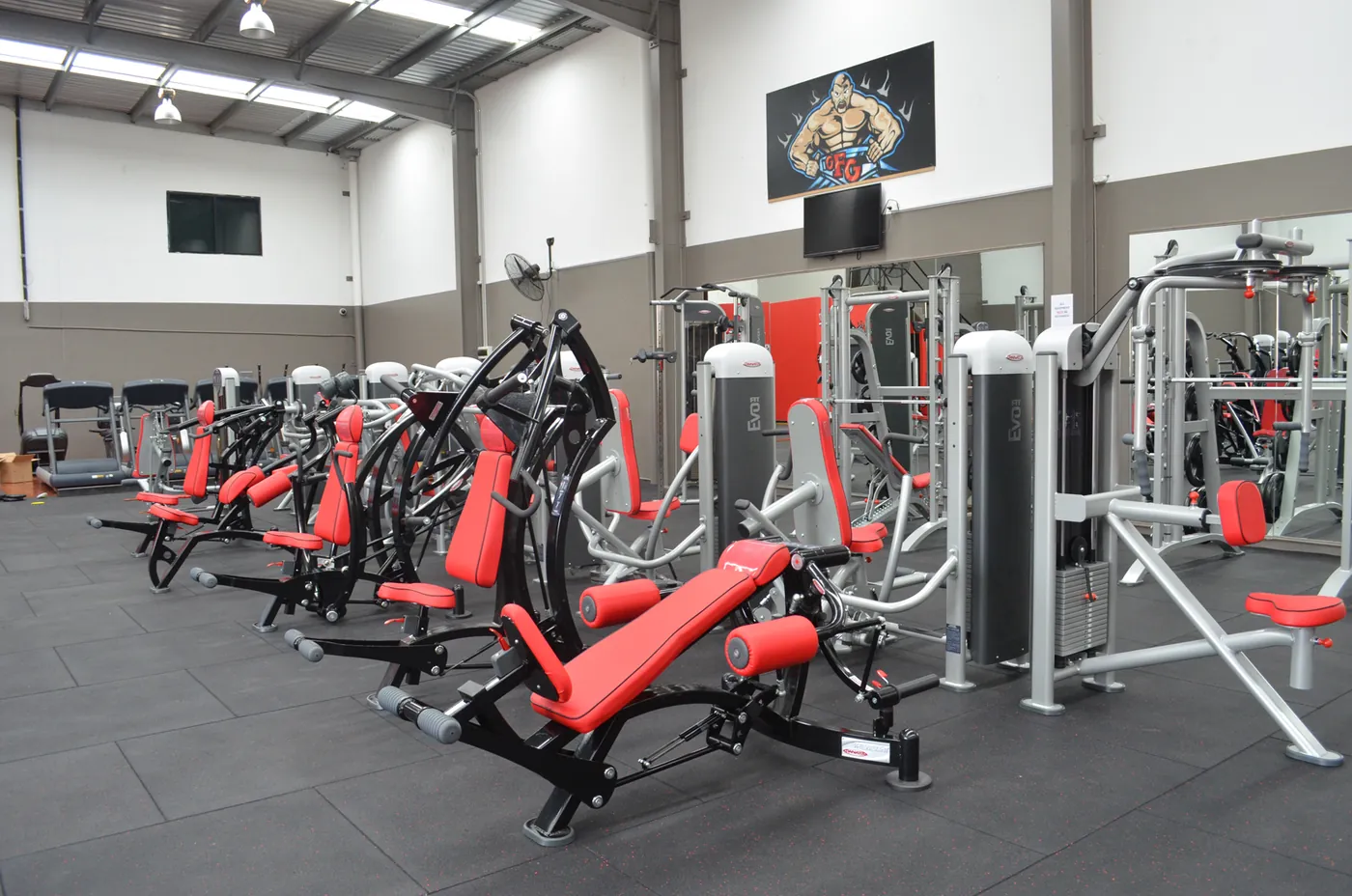 Panatta plate-loaded strength zone