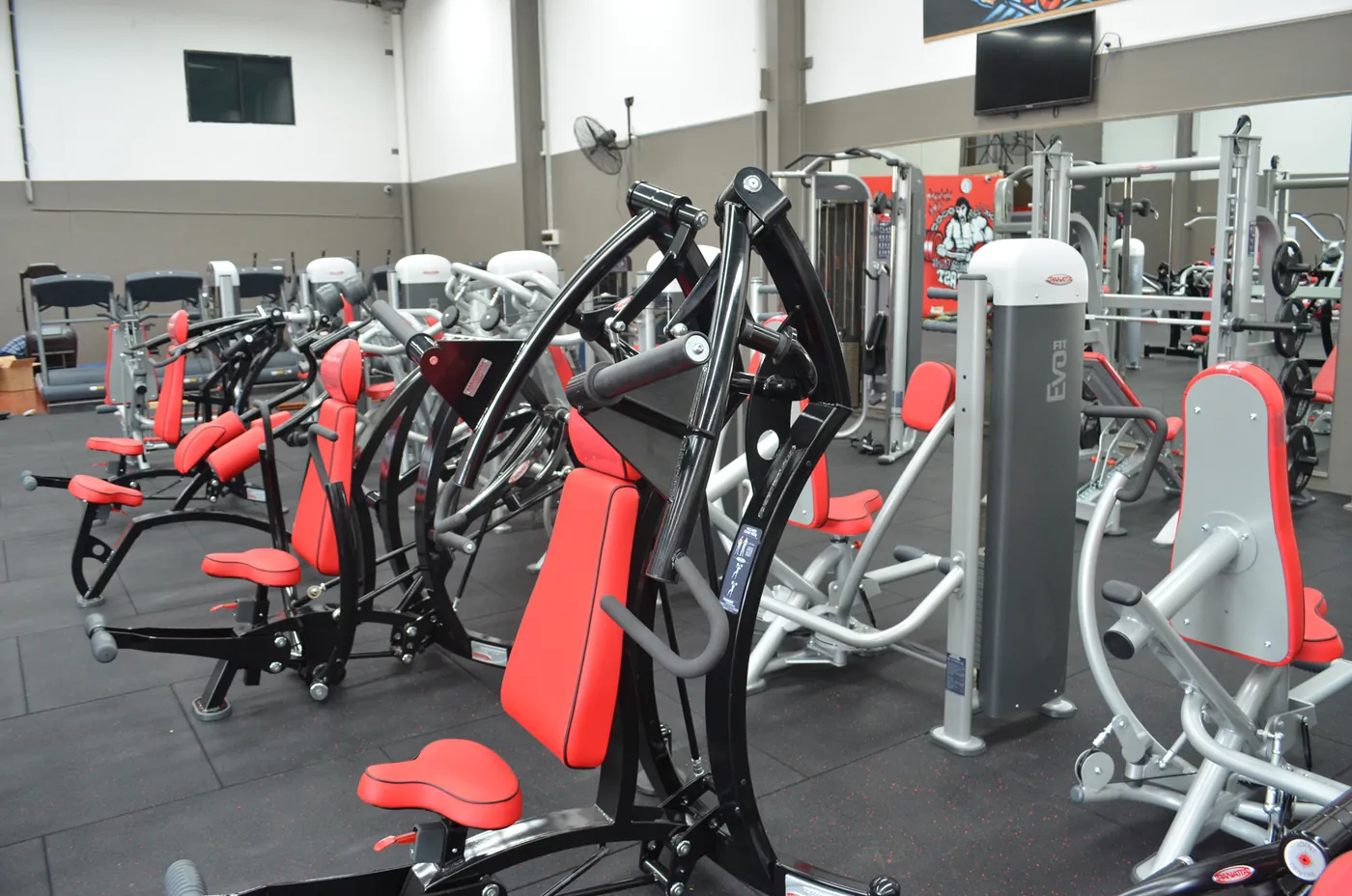 Panatta strength-training installation