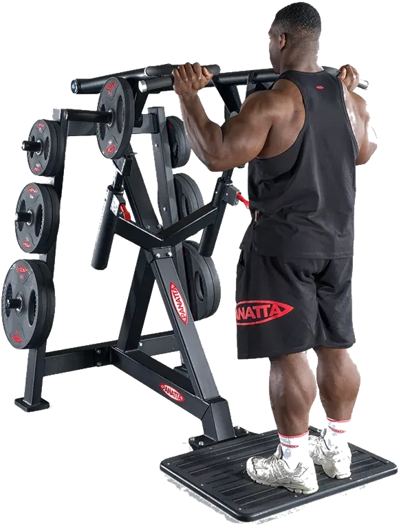 Viking Press view 2