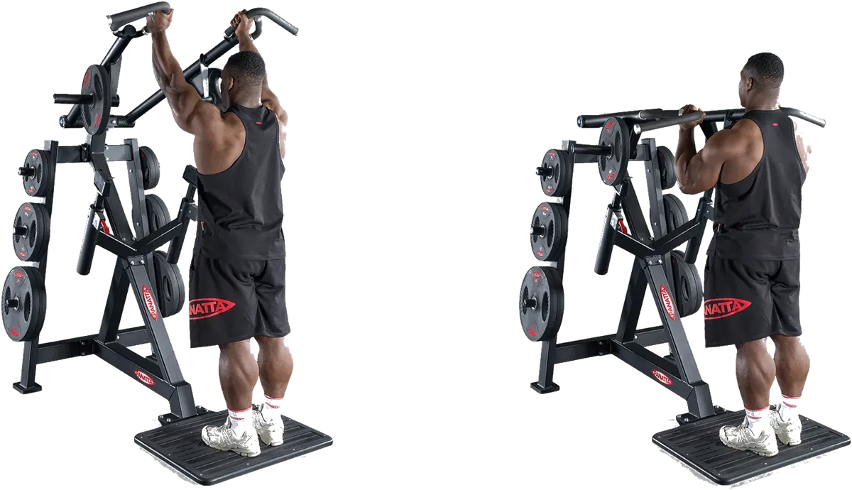 Viking Press view 9
