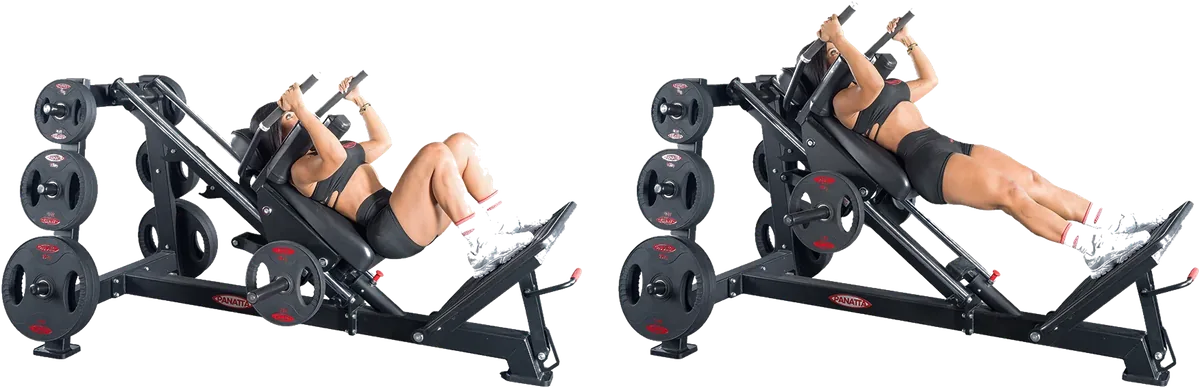 Hack Squat view 4