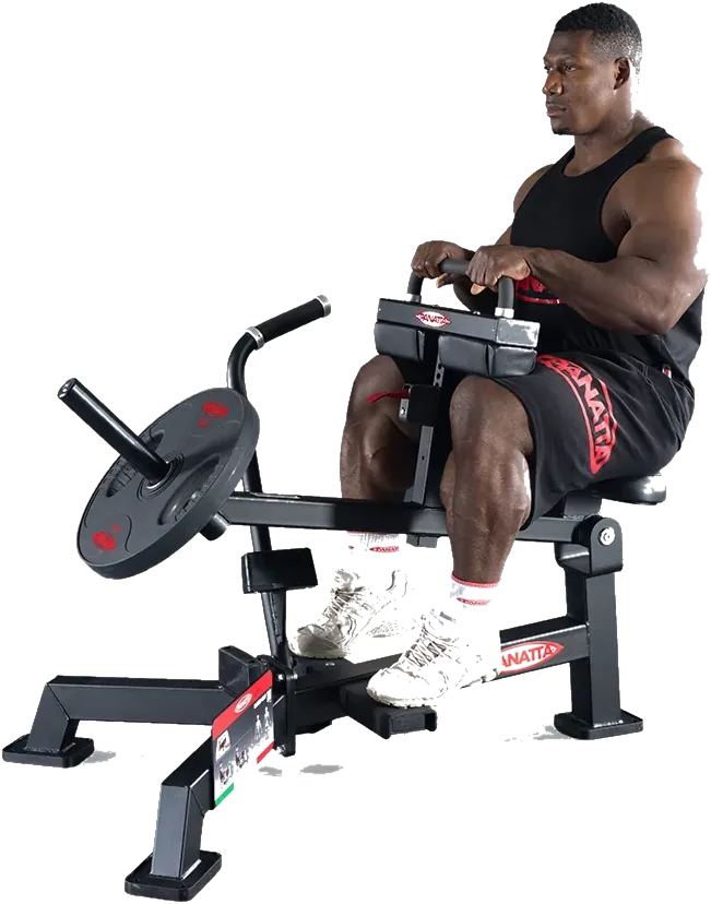Seated Calf view 3