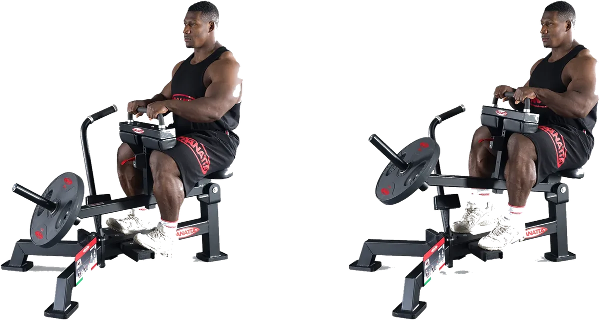 Seated Calf view 4