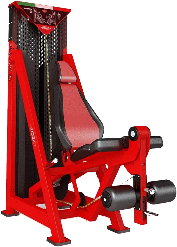 Leg Extension