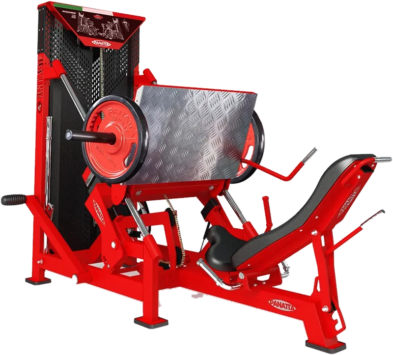 Leg Press 45