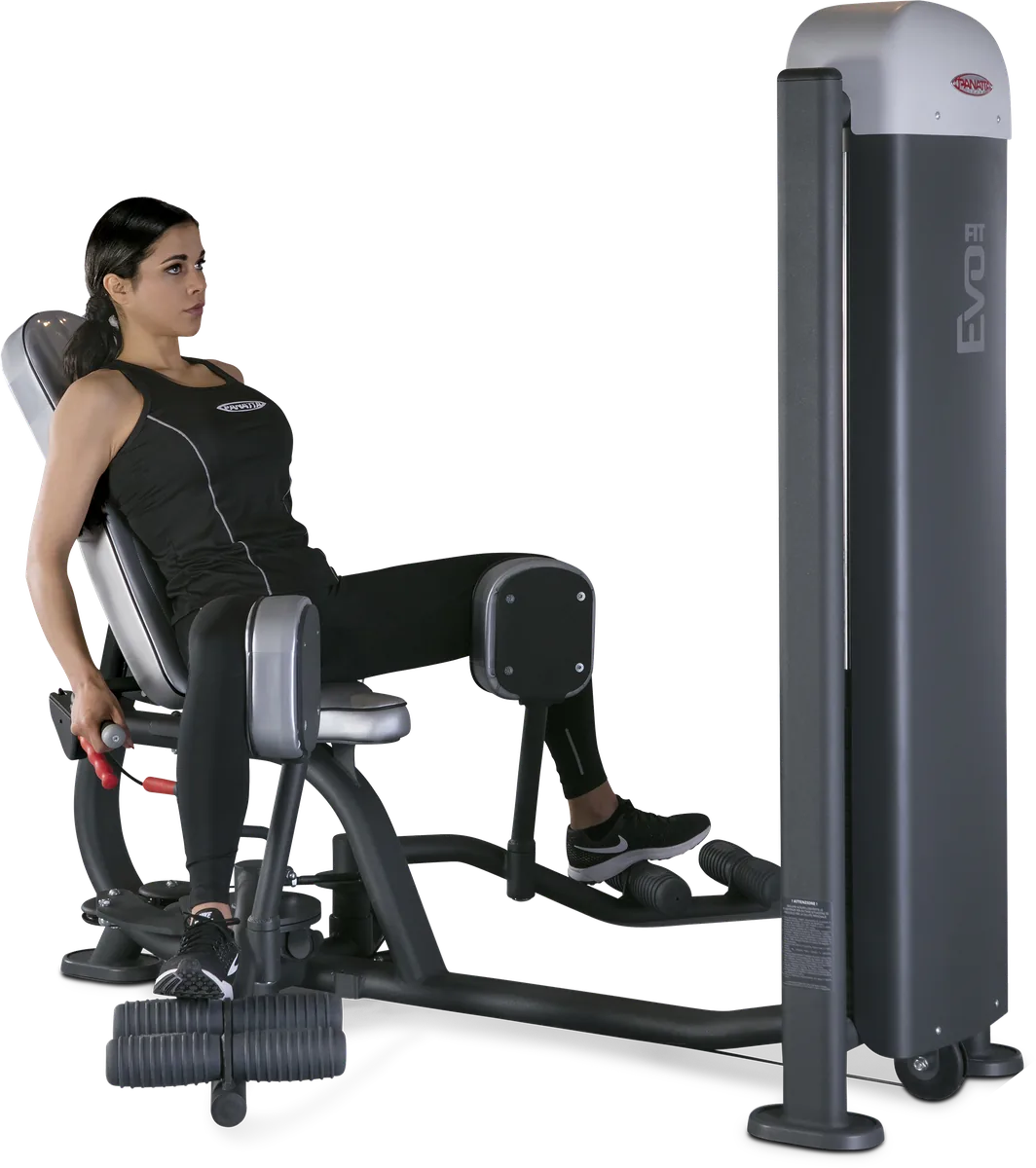Adductor/ abductor machine view 3