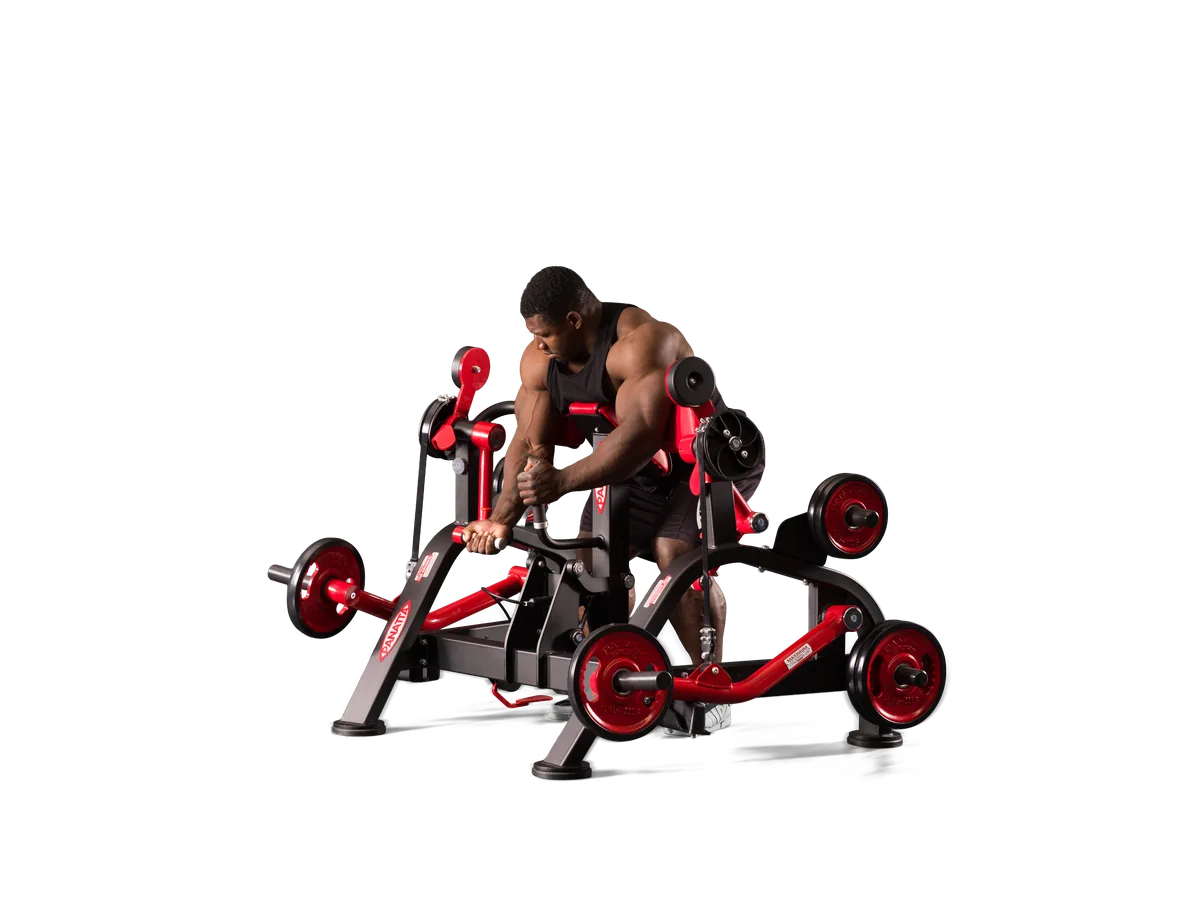 Alternate Preacher Curl Machine view 2