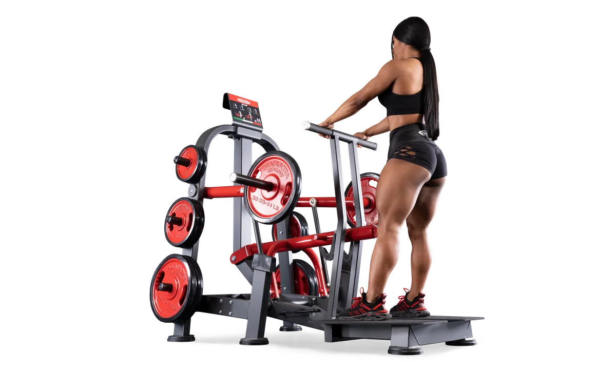 Belt squat view 14