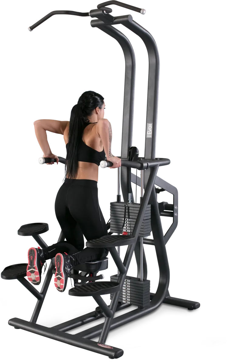 Chin and dip counterbalanced