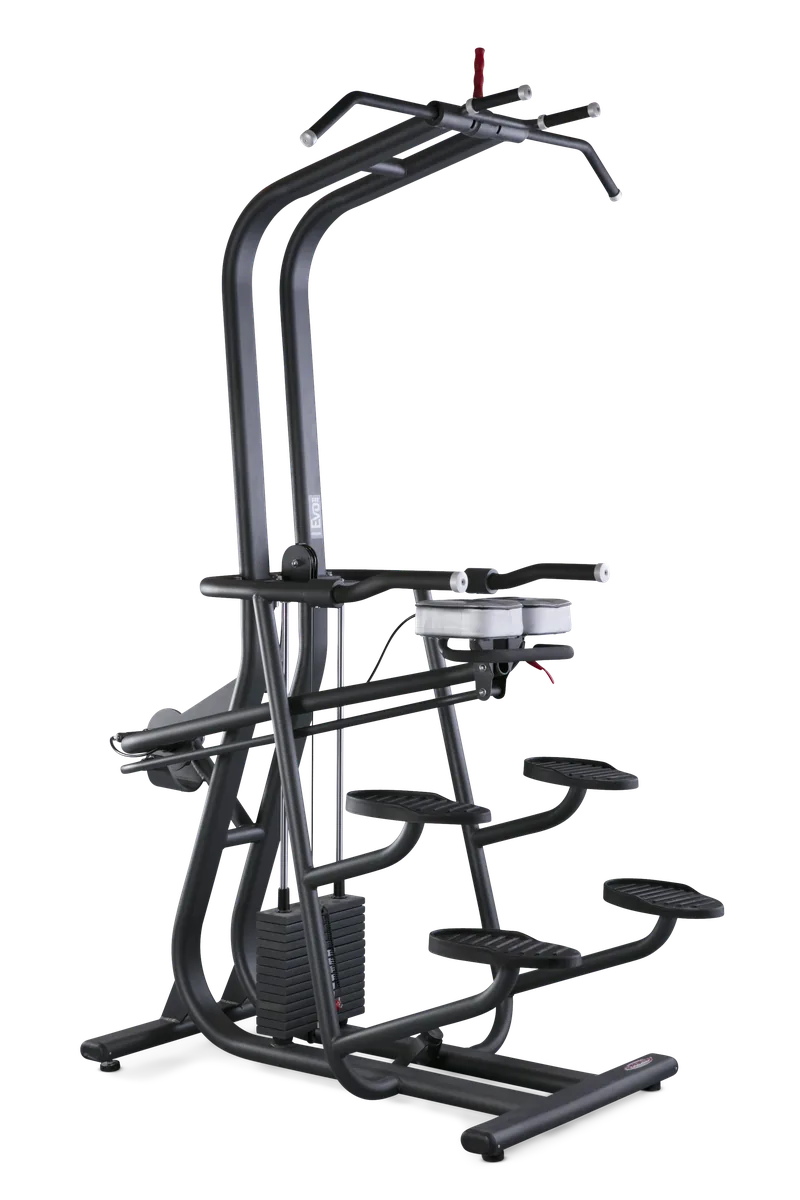 Chin and dip counterbalanced view 5