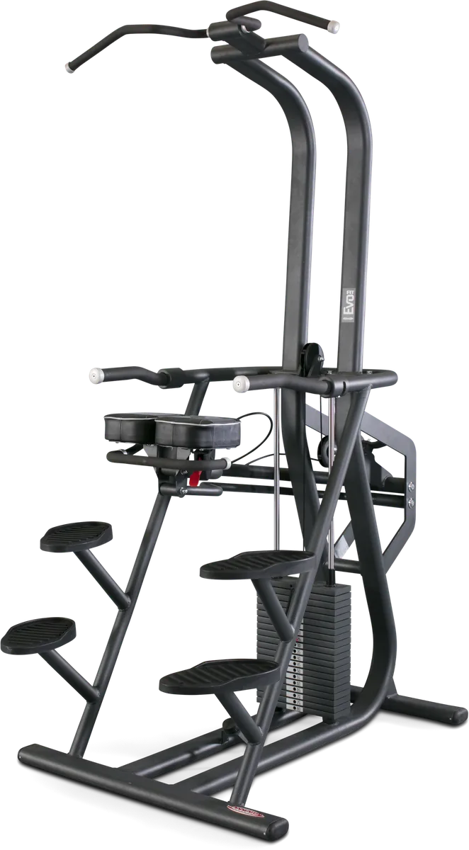 Chin and dip counterbalanced view 6