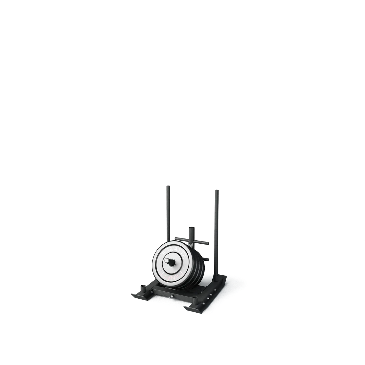Crossfunctional sled view 2