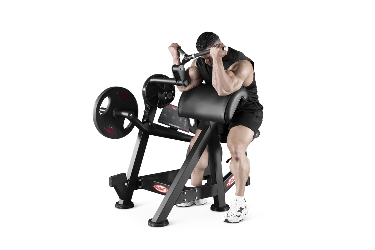 Curling machine view 3