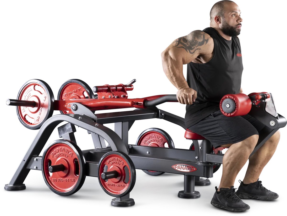 Dips press dual system view 5