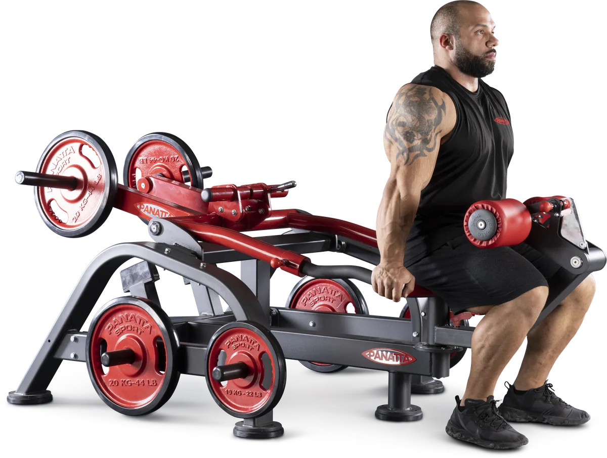 Dips press dual system view 6