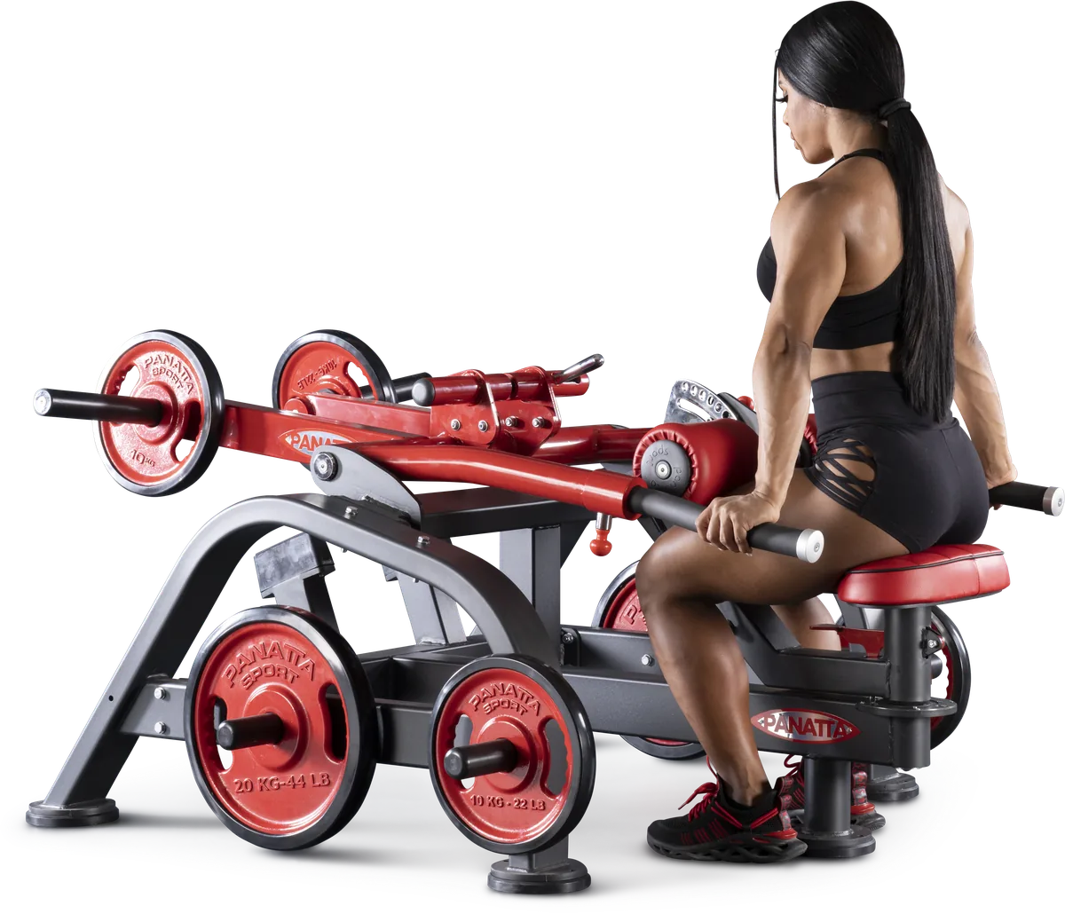 Dips press dual system view 7