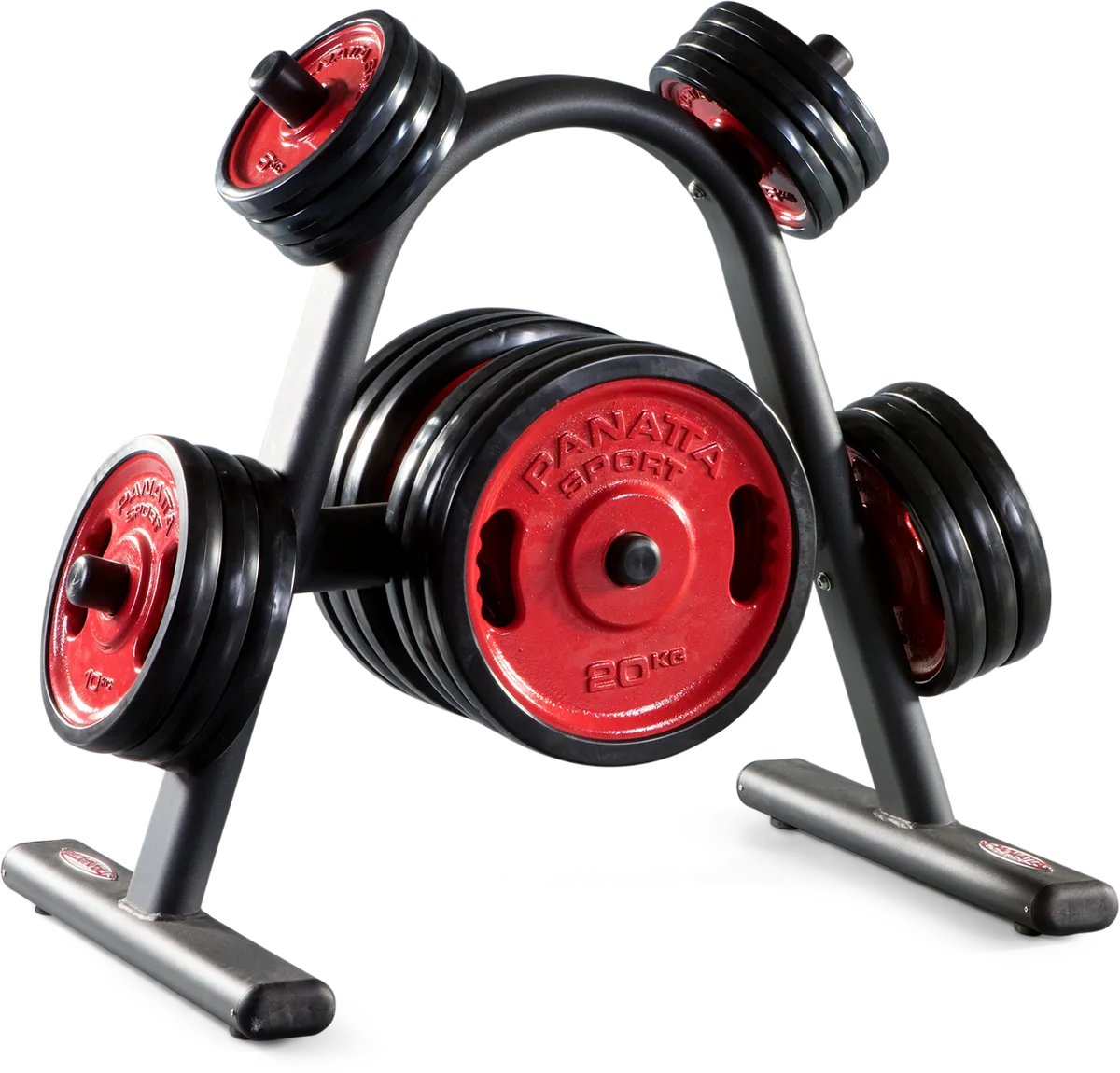 Disk Rack – Fit Evo