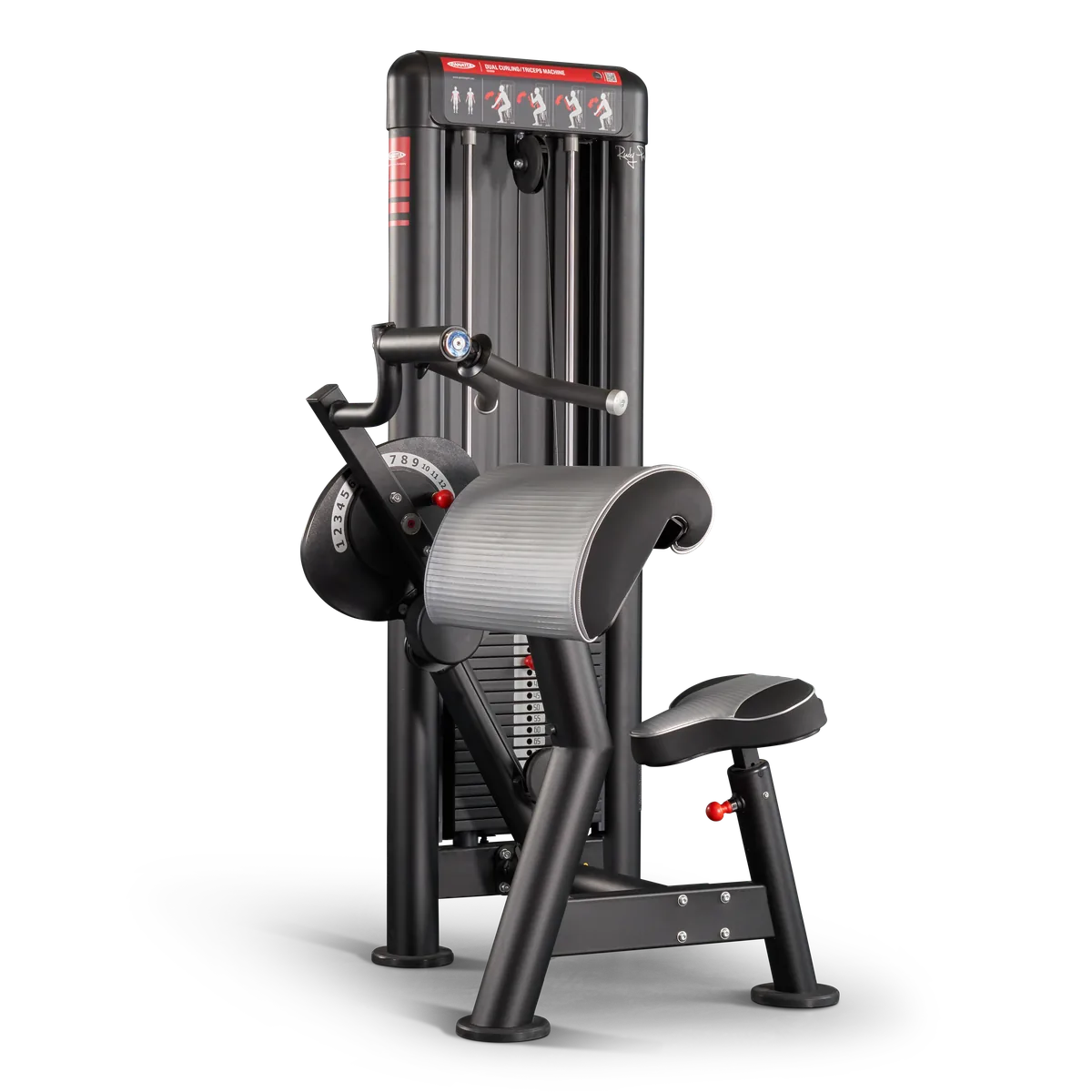 Dual curling | triceps machine view 5