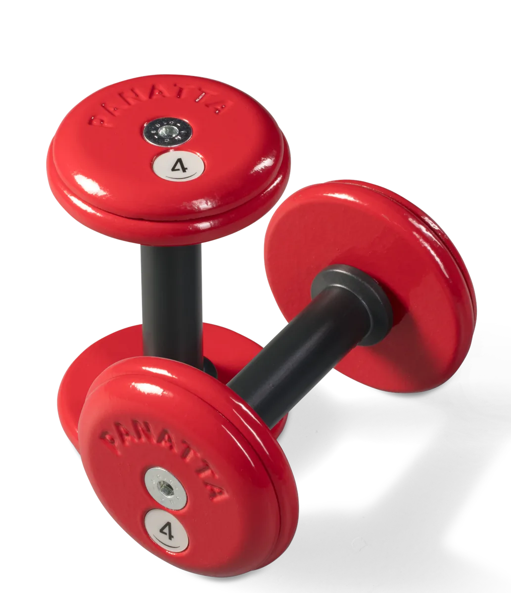 Dumbbells base view 2