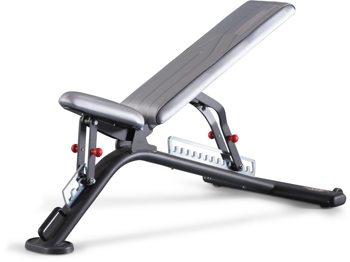 Fully adjustable bench