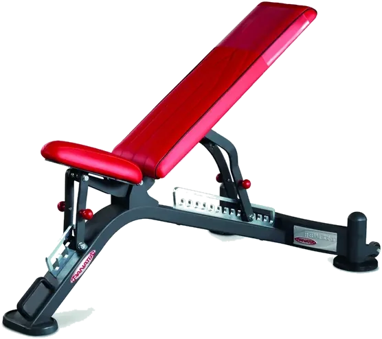 Fully adjustable bench