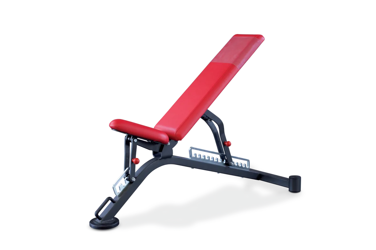 Fully adjustable bench