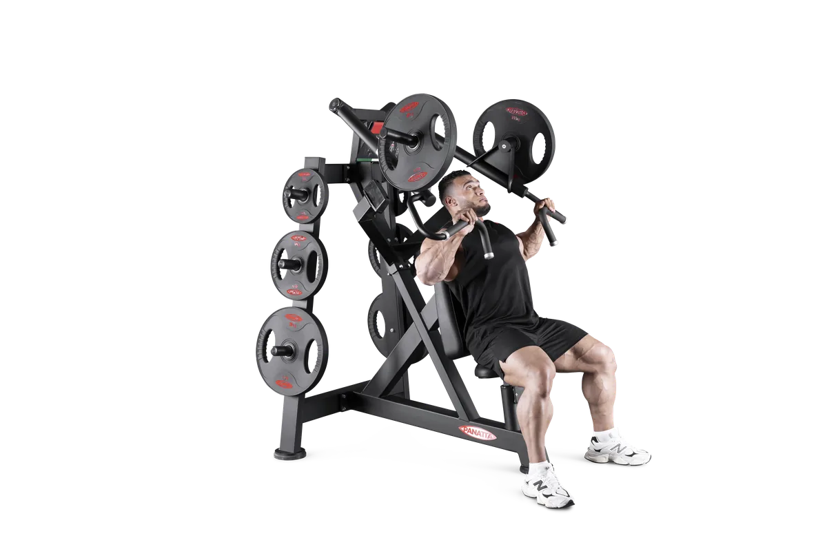 Inclined chest press view 4