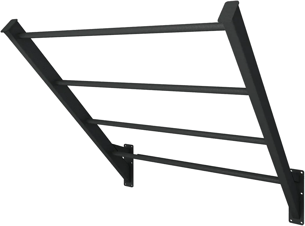 Inclined scale module