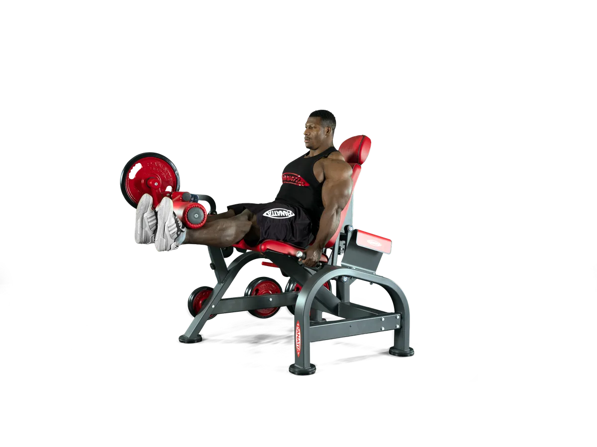 Leg extension view 2