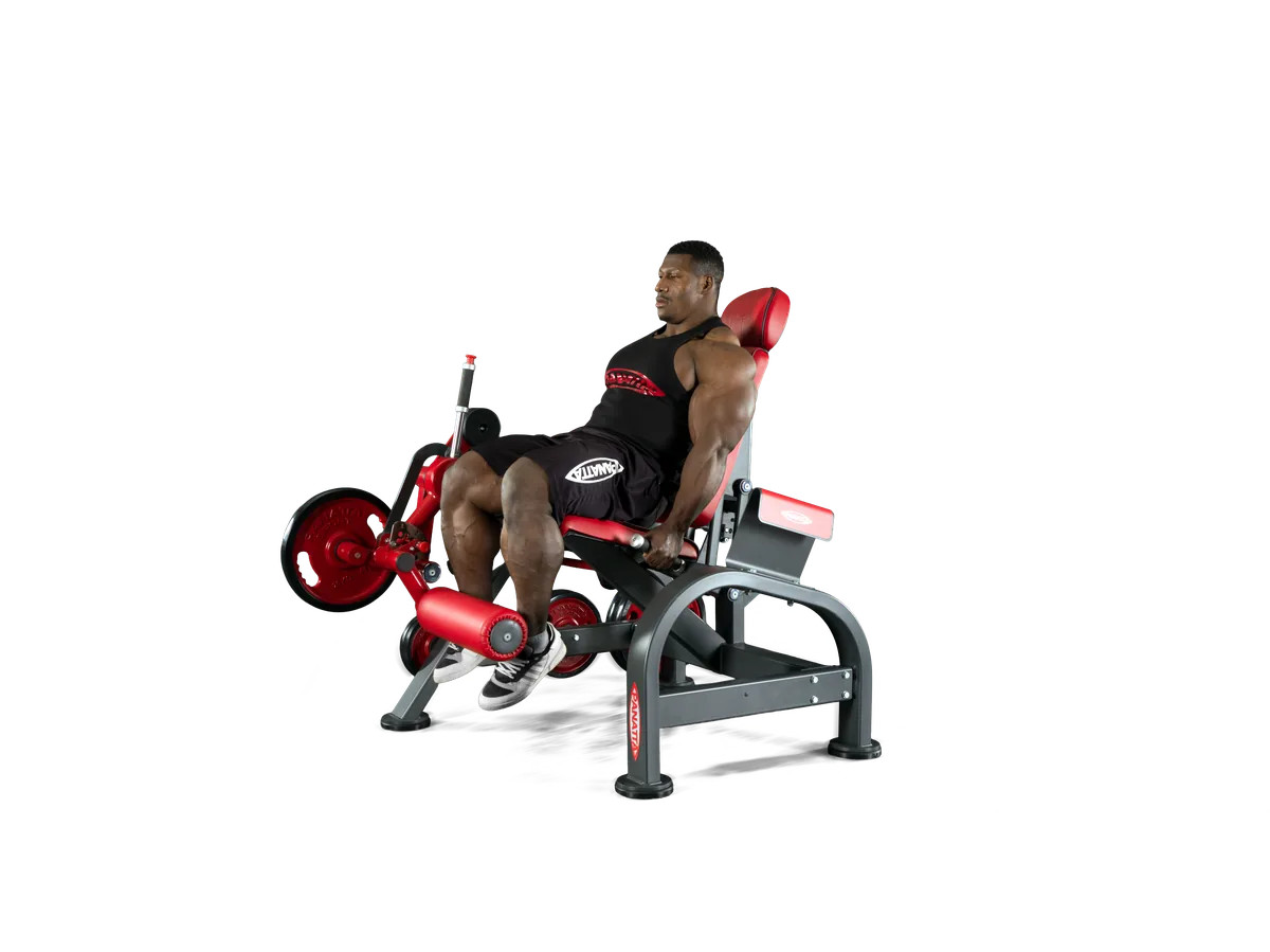 Leg extension view 3