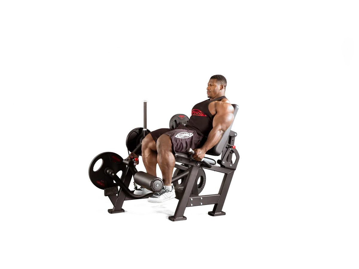 Leg extension view 2