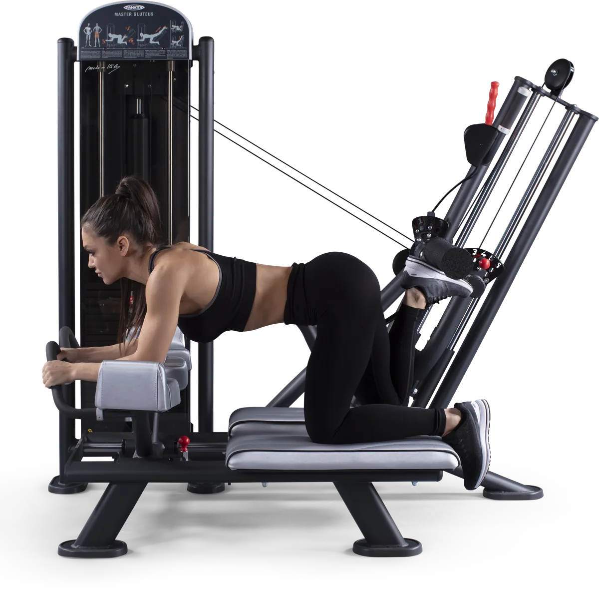 Master gluteus plus view 2