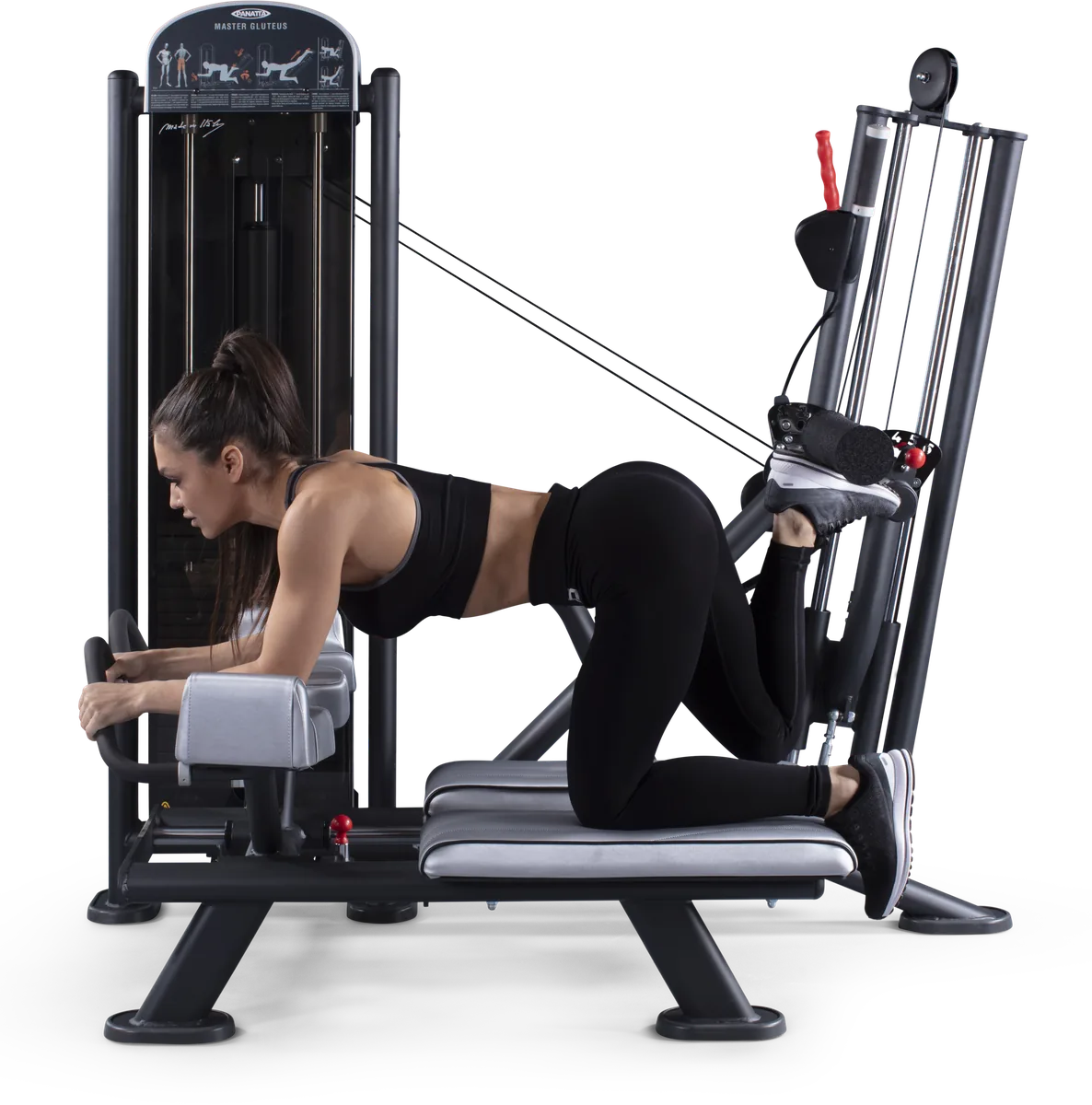 Master gluteus plus view 4
