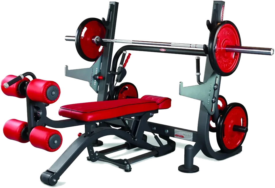 Olympic multi bench