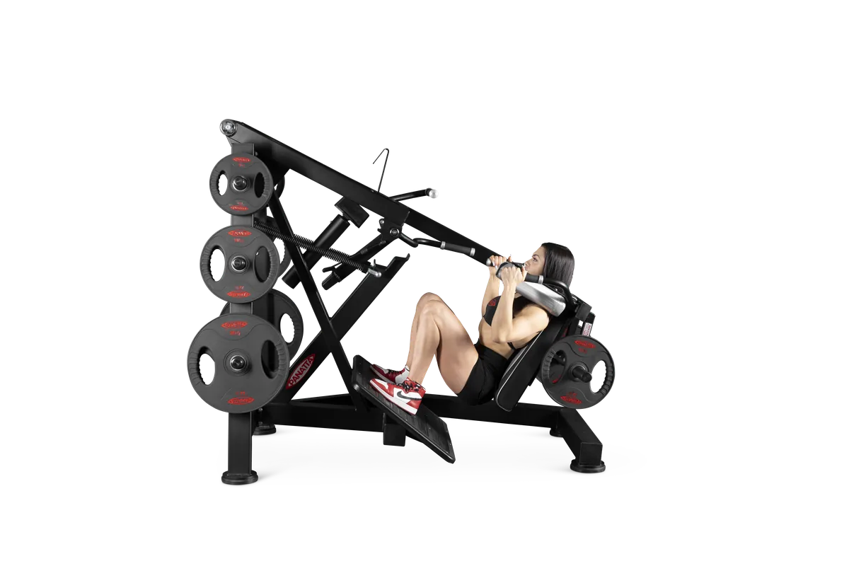 Pendulum squat view 2
