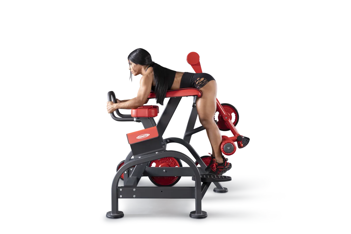 Reverse hyperextension view 11