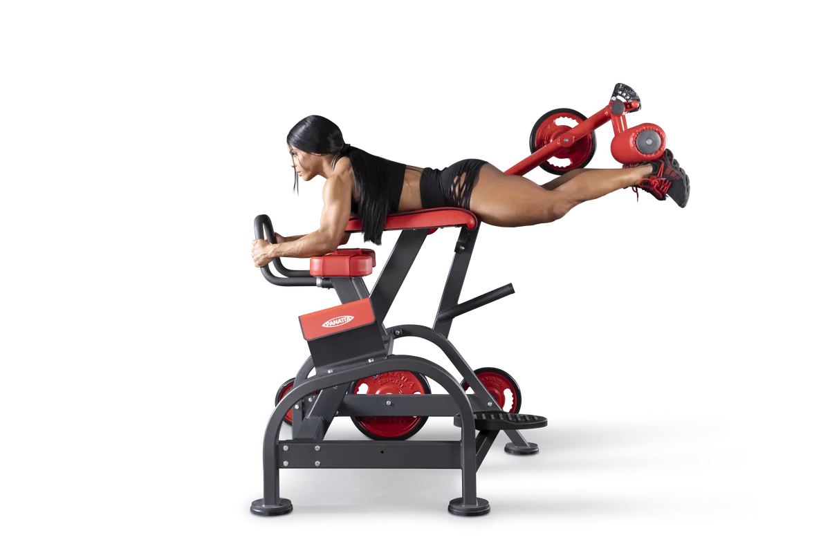 Reverse hyperextension view 2