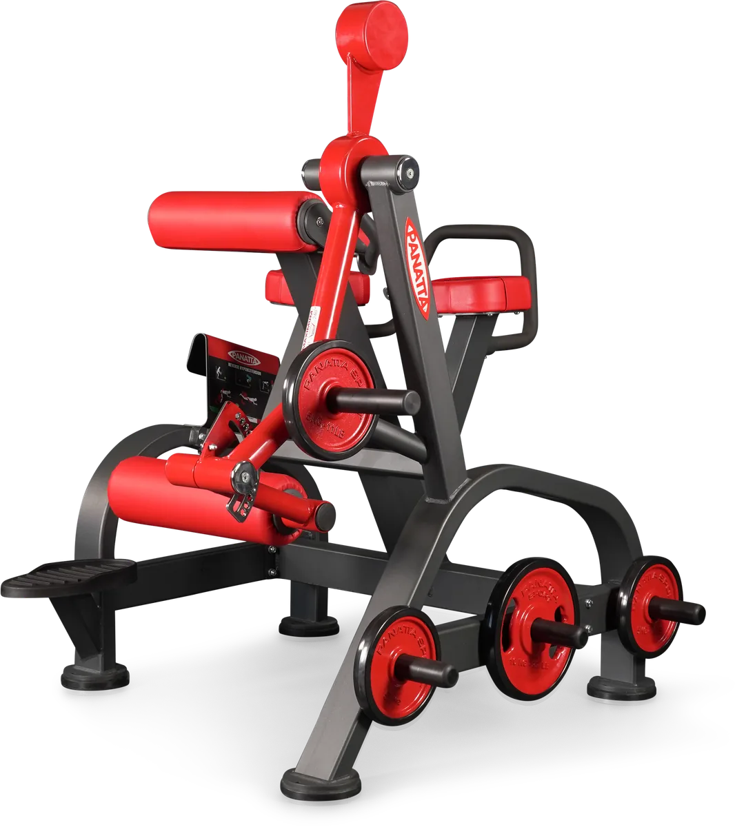 Reverse hyperextension view 4