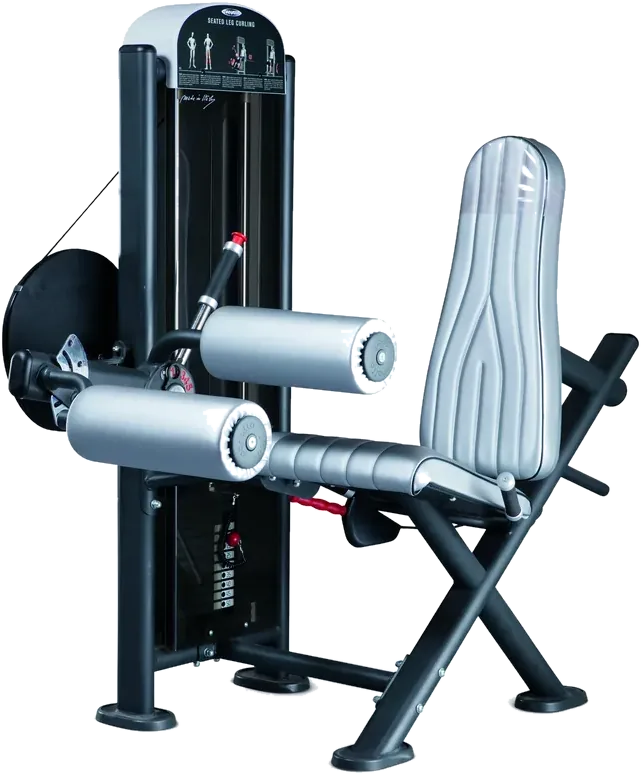 Seated leg curling view 4