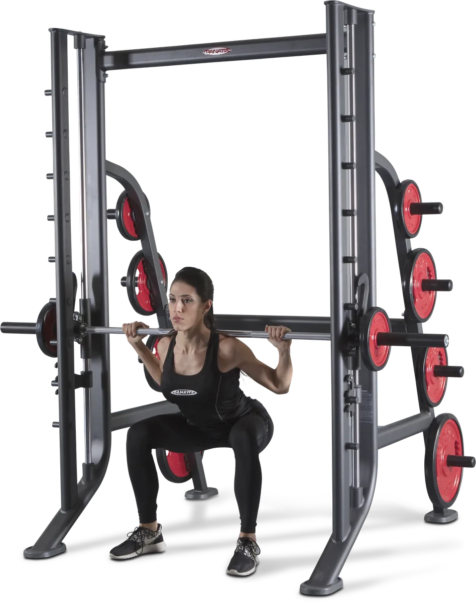 Smith machine linear bearings view 6