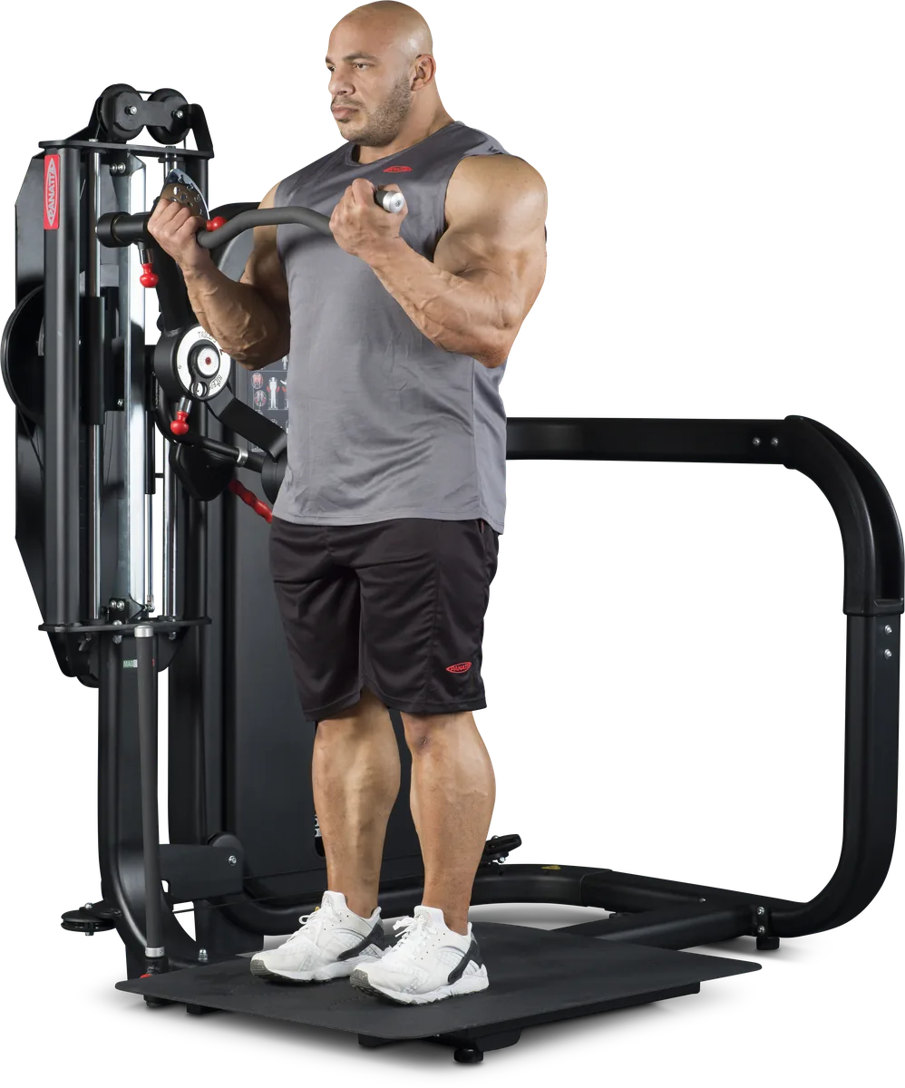 Standing total arms view 3