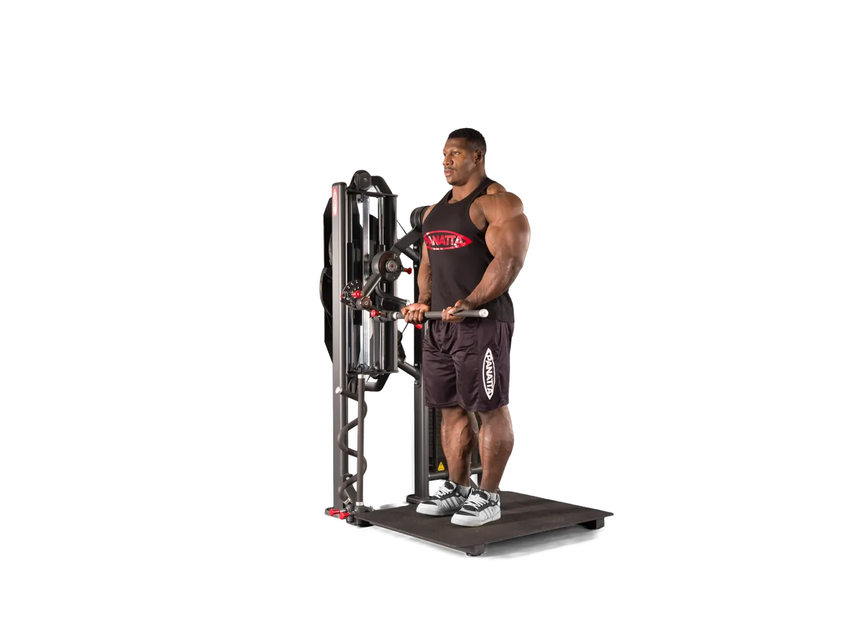 Standing Total Arms view 7