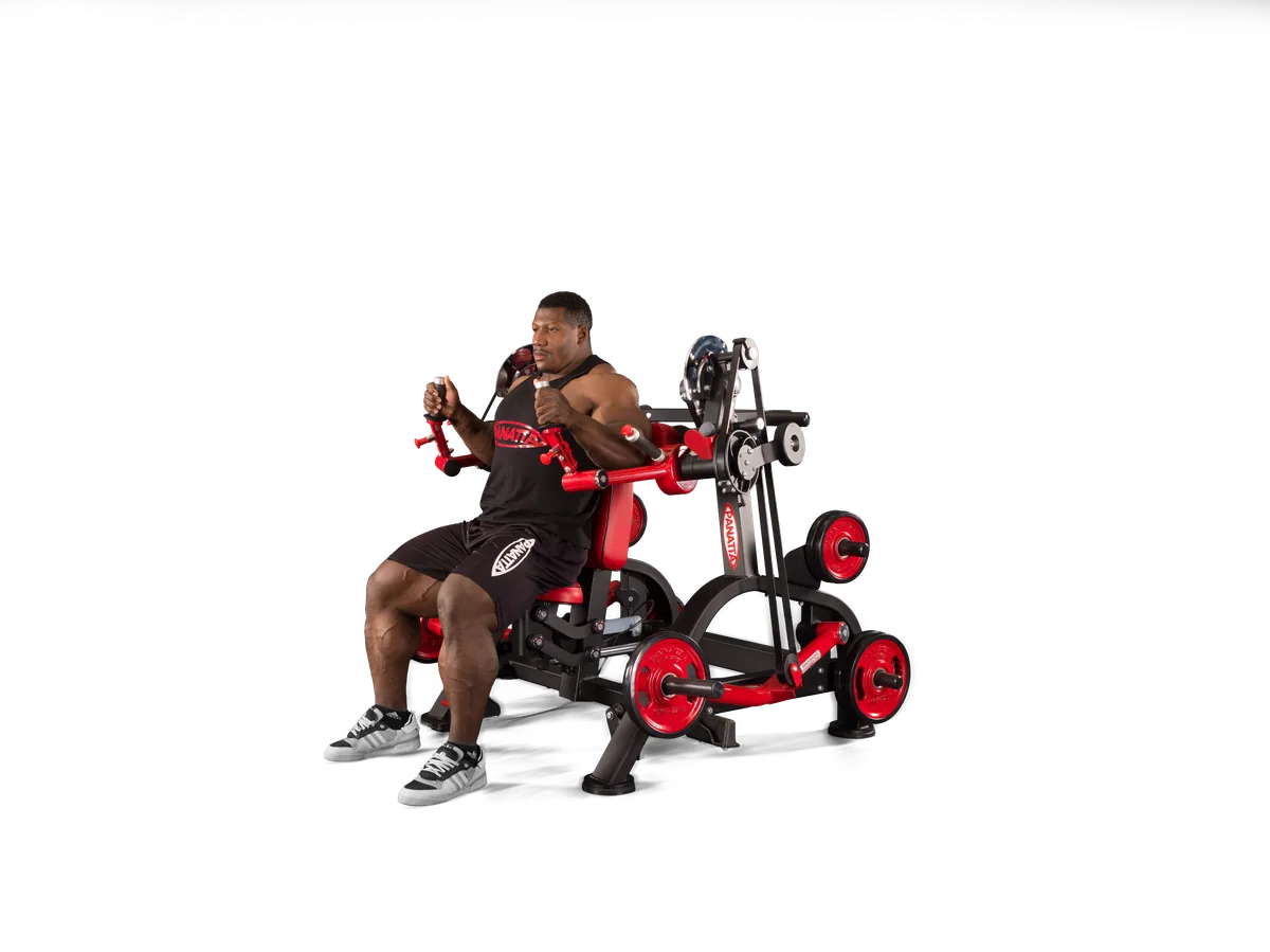 Three Angles Triceps Machine view 3