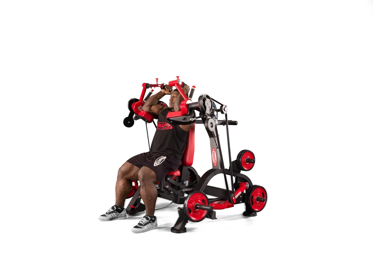 Three Angles Triceps Machine view 4