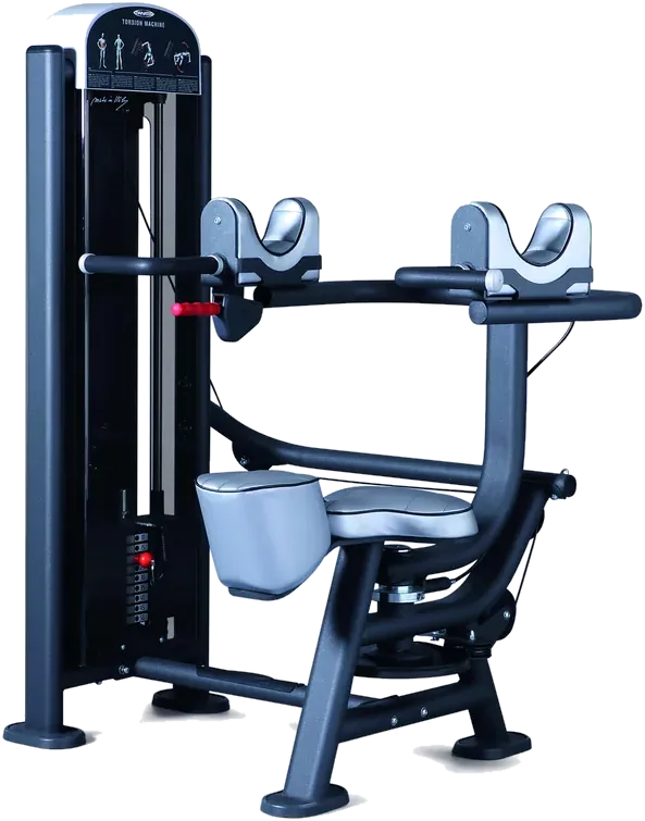 Torsion machine