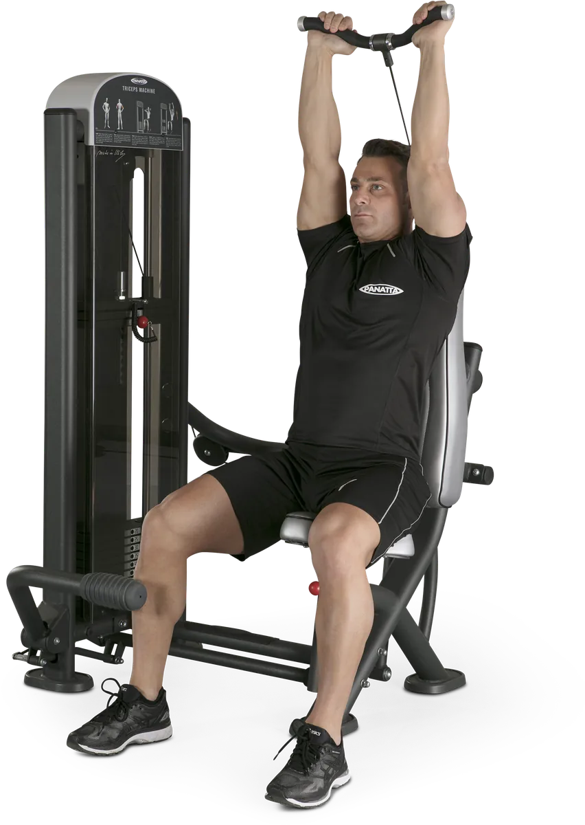 Triceps machine view 2