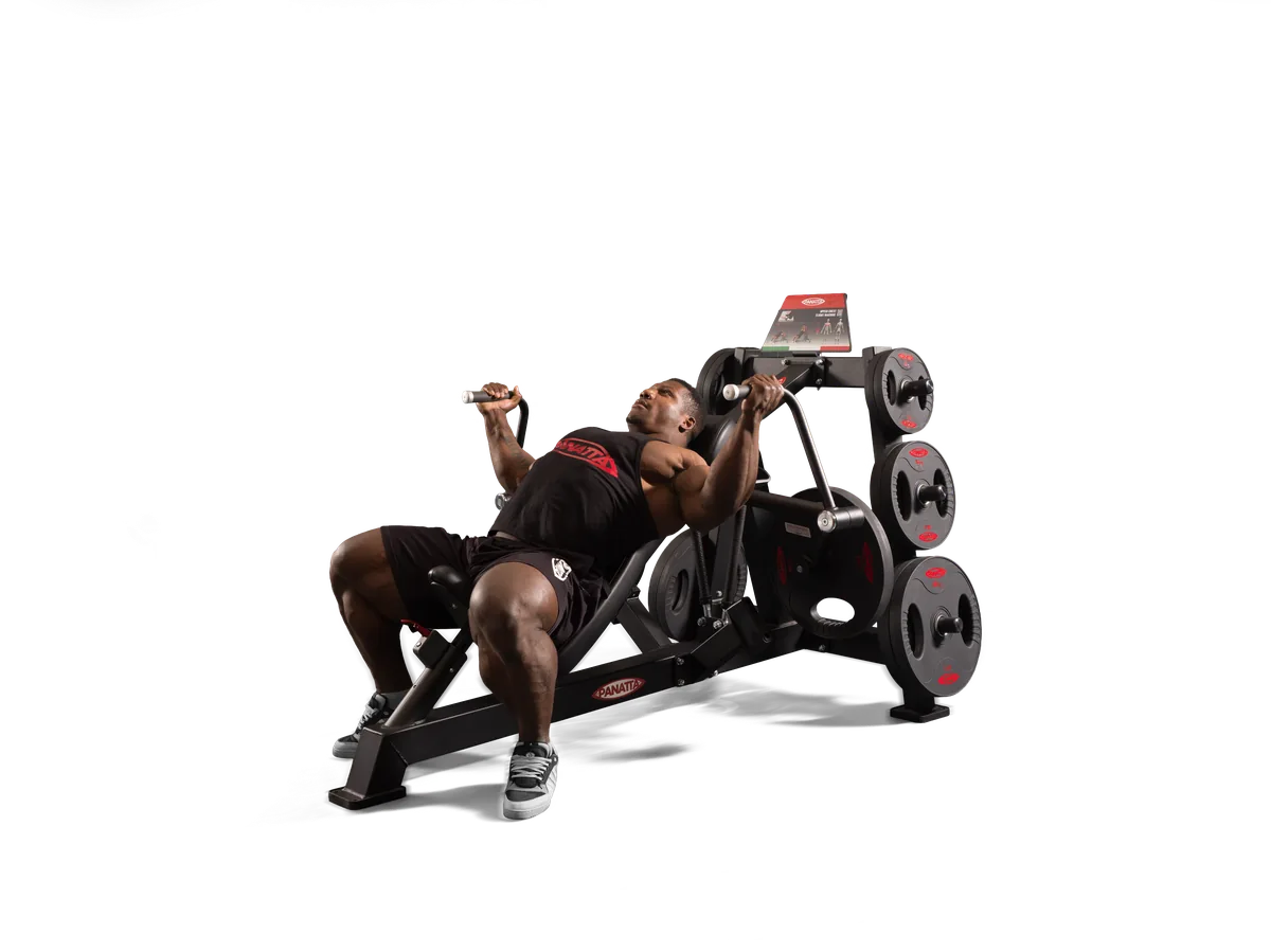 Upper Chest Flight Machine view 2