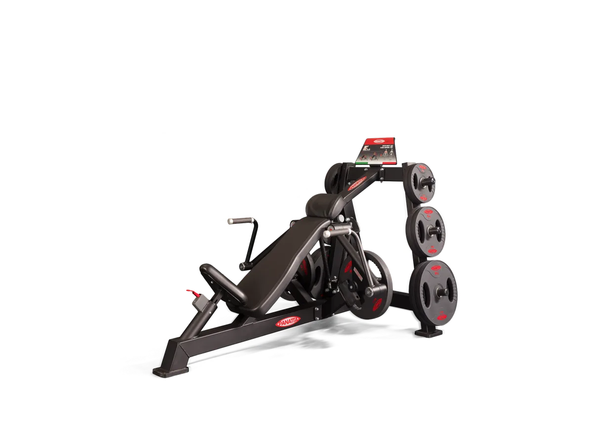 Upper Chest Flight Machine view 3
