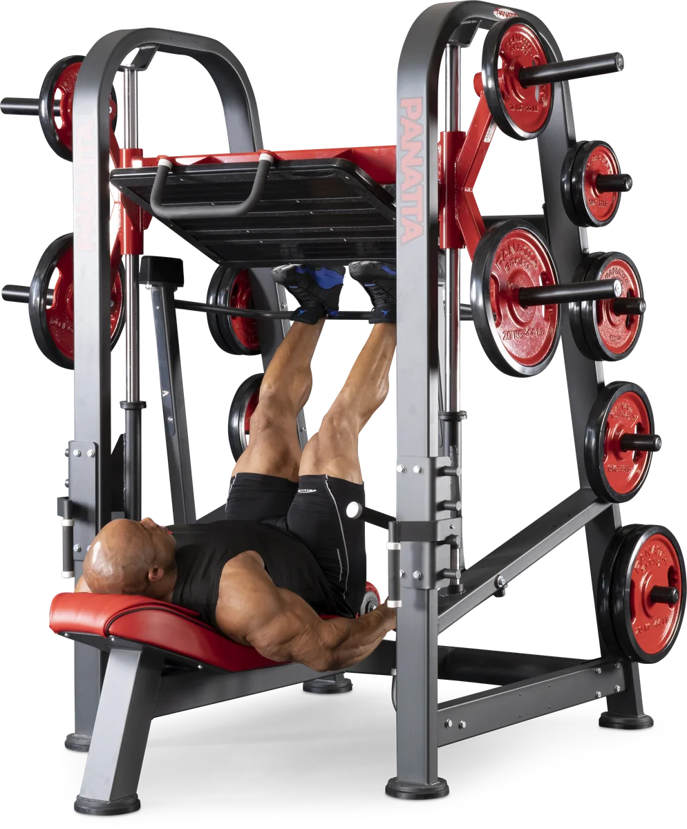 Vertical leg press view 11