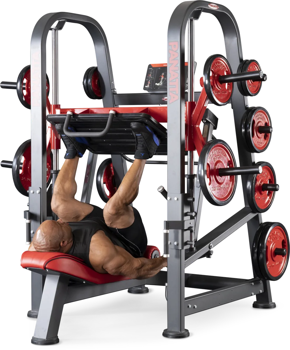 Vertical leg press view 2